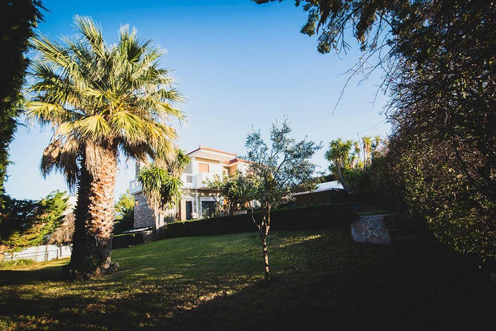 Villa Soula Anavyssos Exterior foto